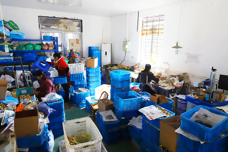 Assembly Workshop